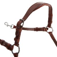 ACAVALLO - Collier de Chasse Anatomique 5 Points en Cuir Italien