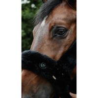 EQUITHEME - Licol doublé mouton synthétique ultra confort SNUGGY