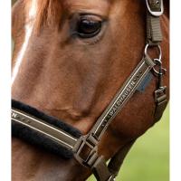 WALDHAUSEN - Licol nylon mouton et Strass ELEGANT  