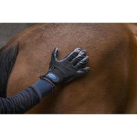 Gant de Pansage pour la Mue du Cheval, HIPPOTONIC