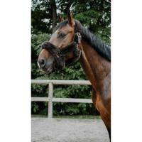 EQUITHEME - Licol doublé mouton synthétique ultra confort SNUGGY