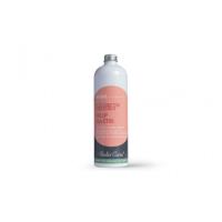 ALODIS CARE - Aliment complémentaire ulcères gastriques Help Gastri