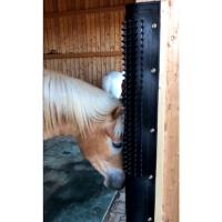 Grattoir Caoutchouc à Picots pour Chevaux, GRATT'O GRATTE