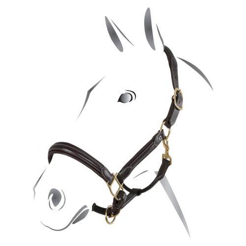 Licol Cuir Matelassé Double réglage Coutures Blanches, EQUESTRO  