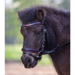 WALDHAUSEN - Bridon à Strass Colorés pour Poney, SHETLAND, MINI Shetland  PINKY STAR