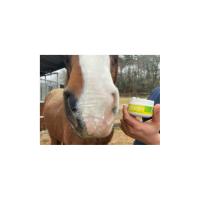 ANIMADERM- Crème de Protection Solaire du Cheval SOLAREN