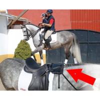 Sige Enfant Adaptable sur Selle d'Equitation, ZALDI