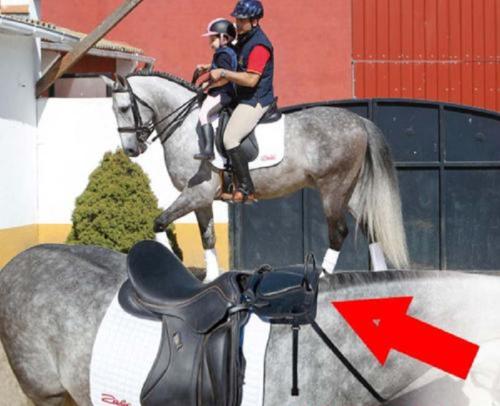 Siège Enfant Adaptable sur Selle d'Equitation, ZALDI