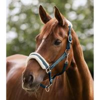 WALDHAUSEN - Licol nylon mouton et Strass ELEGANT  