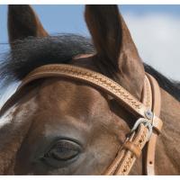 Bridon Western WESTRIDE Aurora, FRANCK PERRET