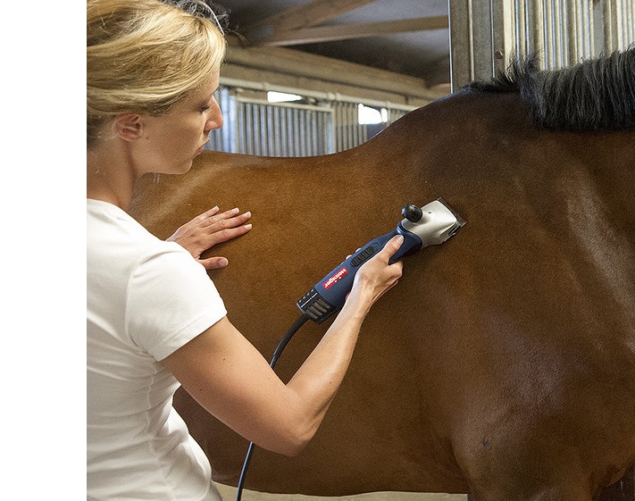 Heiniger, tondeuses professionnelles pour chevaux 