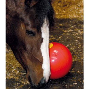 LIKIT - Balle de Distraction SNACK-A-BALL pour Cheval au Box