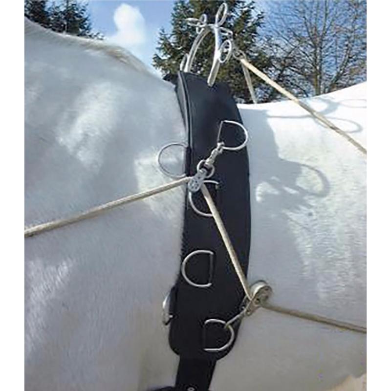 https://www.sellerie-equishop.com/felix-brasseur-surfaix-pour-travail-a-pied-aux-longues-renes-c2x12001534